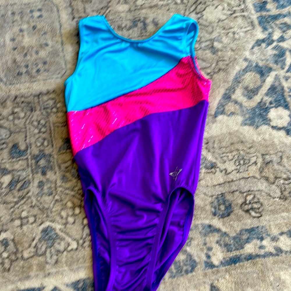 Blue pink and purple leotard